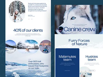 Dog Sledding Service Website adventure branding design dog sledding dogs expedition graphic design interface tourism travel ui user experience user interface ux web web design website website design winter winter sports