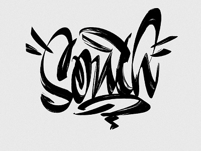 South calligraphy lettering logo procreate south