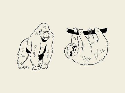 Animal illustrations - Notion Pack animal animals ape flat getillustrations gorilla happy illustration line minimal monkey notion notion design outline pet simplified sloth vector vector illustrations zoo