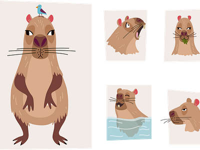 capybara animals animals set bird capybara cartoon character cute design funny