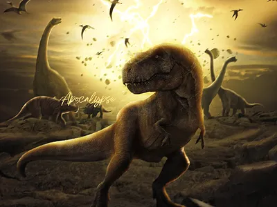 Apocalypse | Photo Manipulation image manipulation manipulation photo manipulation photoshop