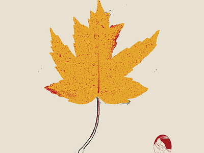Maple autumn digitalart digitaldesign fall graphicdesign illustration illustrator leaves maple texture tree vector