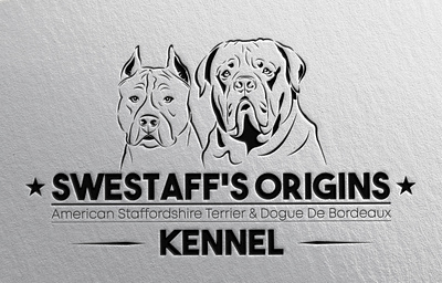 Swestaff's Origins Kennel adobe america art brand branding design dog dogs dogue france graphic graphic design illustrator kennel logo origins photoshop stafford