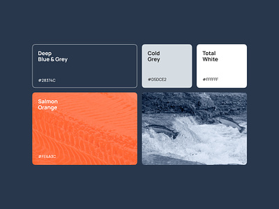 Inspired by Nature: Crafting a Color Palette 🌊 blue brand brandidentity branding color color palette color picker color scheme colors colour palette creative design graphic design orange palette style guide