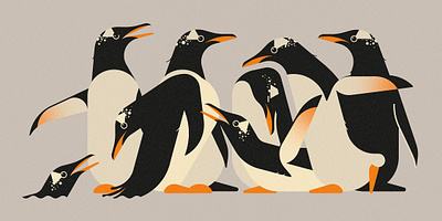 Rookery (2023) bird illustration birds branding design illustration minimal illustration nature vector wildlife