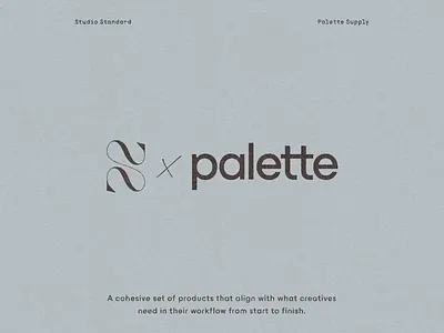 Studio Standard x Palette: The Collection art direction branding creative market feminine graphic design instagram mock up mockup portfolio shot list social media stories template typography ui