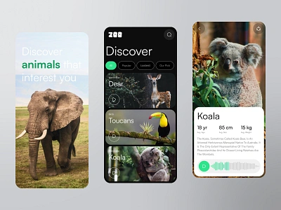 Virtual Zoo Mobile App animal app birds clean dear design discover elephant forest koala mobile nature ui ux virtual wild zoo