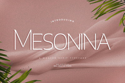 Mesonina – A Modern Serif Typeface simple font