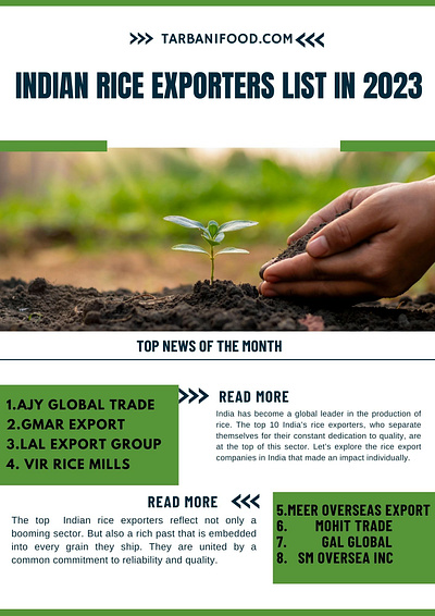 Indian Rice Exporters List in 2023 3d graphic design indian rice exporters logo ui