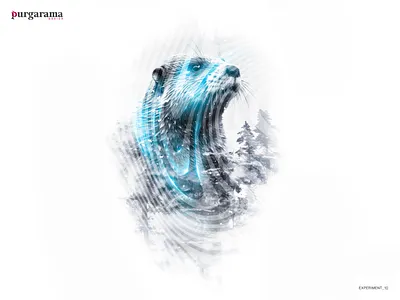 Otter | Winter double exposure otter photomanipulation