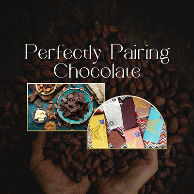 Chocolate pairing branding app branding design graphic design illustration logo motion graphics typography ui ux vector