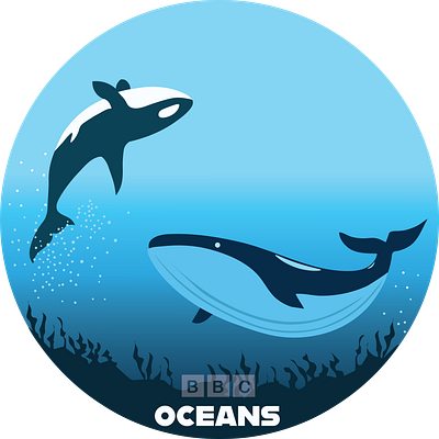 BBC Oceans animation design graphic design illustration vector