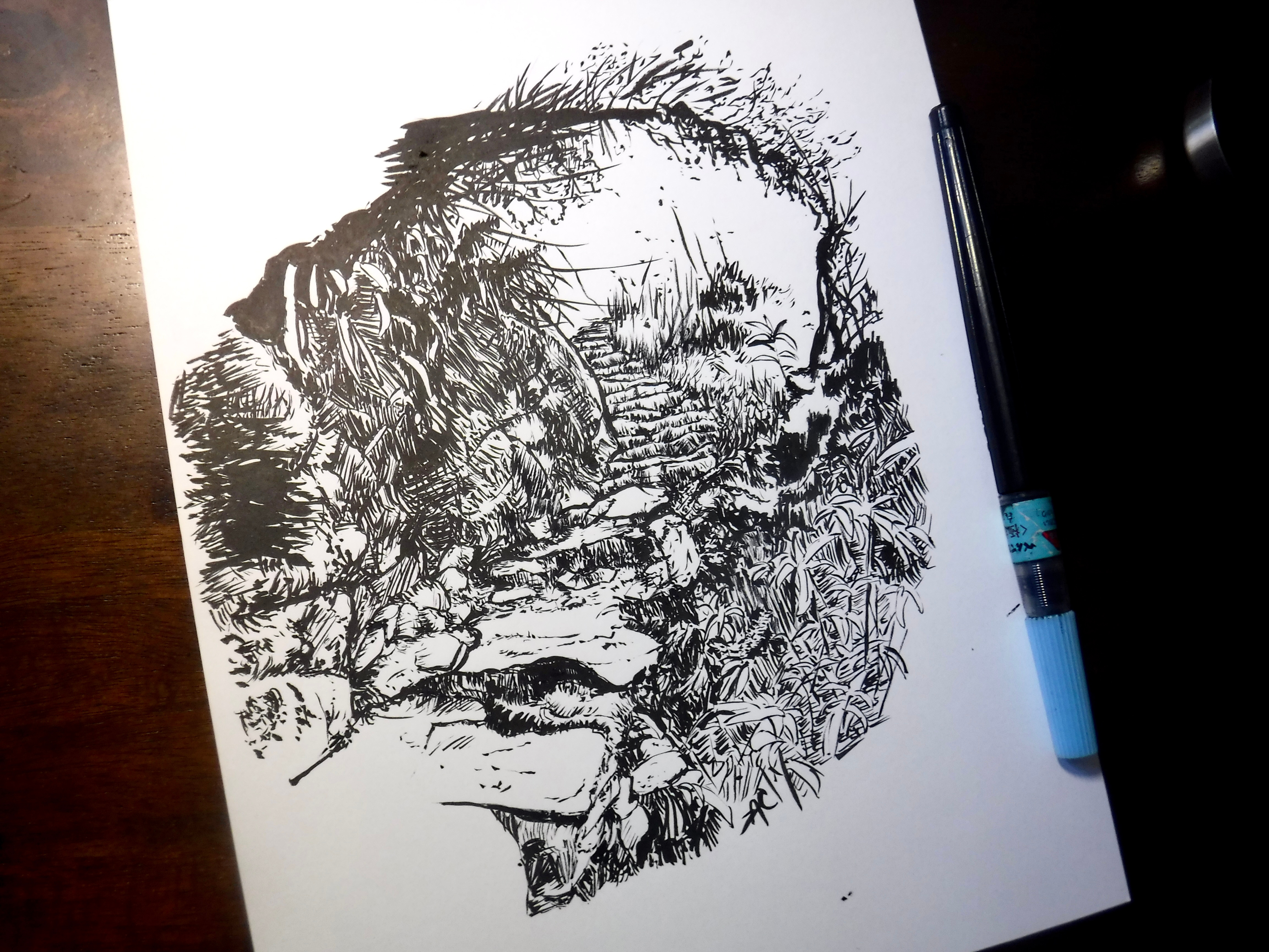 Jungle Stairs drawing foliage illustration ink inktober jungle nature stairs