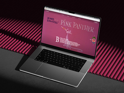 Pink Panther card cart comedy design web fantasy graphic design pink pinkpanther slider ui user interface ux web