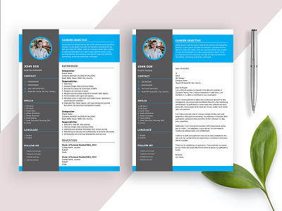 Modern Resume Template bio data cv job seeker minimal resume modern resume professional resume resume resume template template