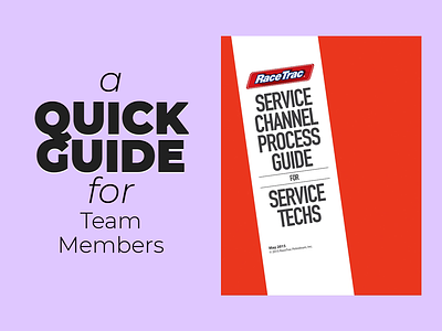 Quick Guide - Team Members