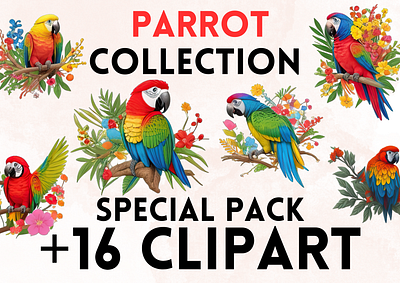 Parrot Clipart animal animal clipart animals clipart clipart png graphic design parrot png