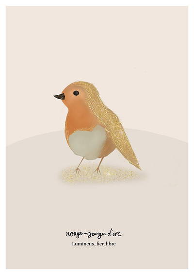 Rouge Gorge d'Or bird conception duographique illustration illustrator photoshop rouge gorge