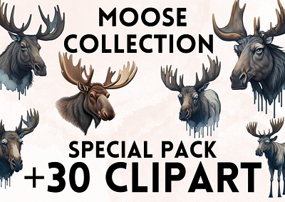 Moose Clipart animal animal clipart animals clipart clipart png graphic design moose png svg