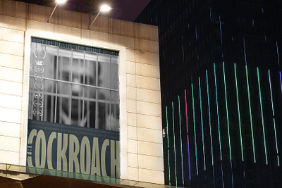 Short Film Poster "The Cockroach" award nominated cinema graphic design movie poster poster poster design short film