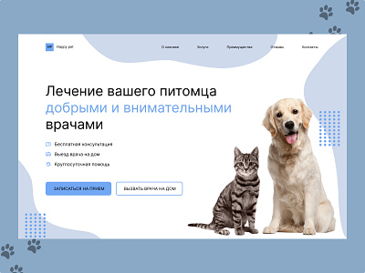 Концепт ветеринарной клиники design ui ux веб дизайн веб сайт главная страница концепция