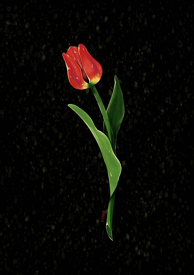 Tulip art design illustration procreate visual