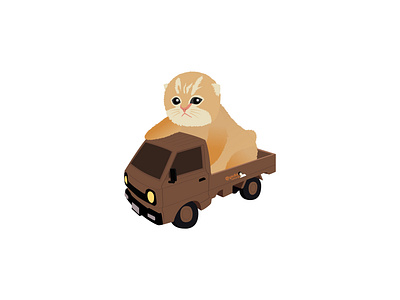 illustration of a cat riding a car car cat cats cute cat