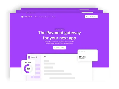 Web design for a payment gateway api fintech money payment startup web app web design