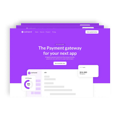 Web design for a payment gateway api fintech money payment startup web app web design