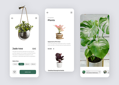 Plant App design figma graphic design plant ui