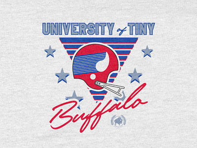U of T branding college collegiate design graphic design pennsylvania retro throwback tiny buffalo university vintage