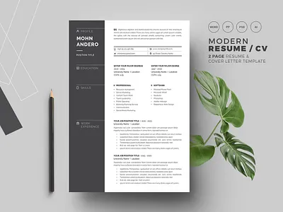 Professional Resume/CV professional resume
