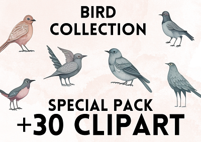 Bird Clipart animal animals bird clip art clipart clipart png design graphic design motion graphics png
