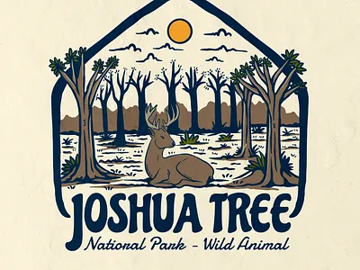 JOSHUA TREE NATIONAL PARK environment