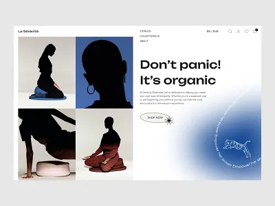 La Serenite - Hero boutique catchy creative fashion hero landing landing ui site ui uiux ux web web design website