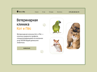 Veterinary clinic website design design graphic design ui