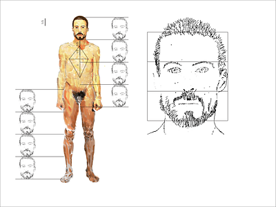 PROPORTIONS digital drawing human body natural drawing proportions