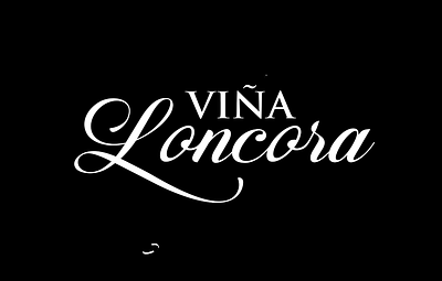 Vina Loncora Logo Animation 2d logo animation animation custom animation design logo logo animation minimal motion graphics