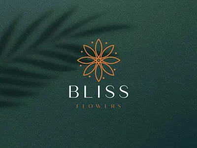 BLISS FLOWERS LOGO DESIGN 2d 3d animation branding card design flowers graphic design illustration logo motion graphics typography ui ux vector