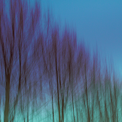 ethereal tree scenes abstract photography illustration photo photography