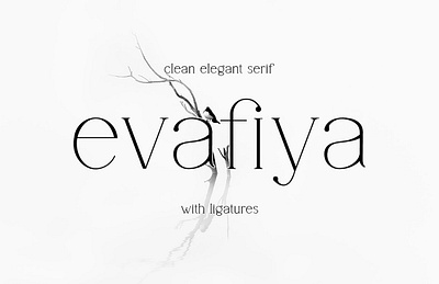 Evanfiya type app branding design graphic design illustration logo typography ui ux vector