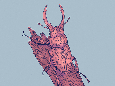 Inktober day 22: Scratchy art beetle character design design drawing illustration inktober insect scratchy