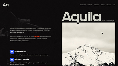 Aquila Devsign branding graphic design ui