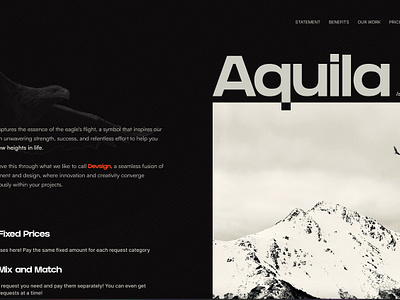 Aquila Devsign branding graphic design ui