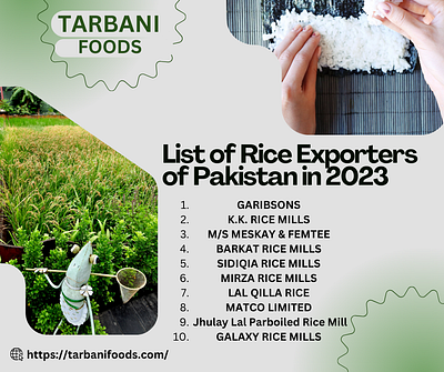 Rice Exporters of Pakistan branding graphic design logo motion graphics rice exporters of pakistan ui