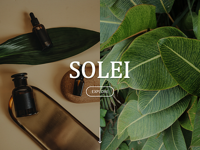 Solei - Cosmetics Web Site Design