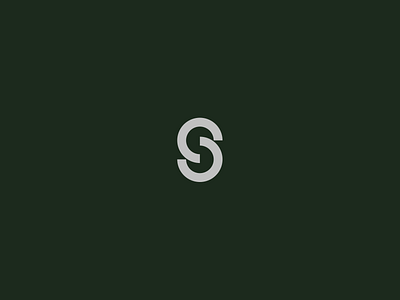 S logotype branding design graphic design illustration logo typography vector