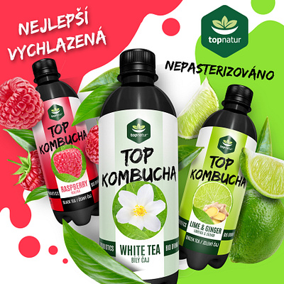 TOP KOMBUCHA _design for company branding czech design