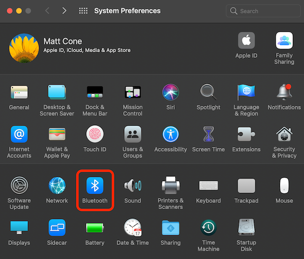 Select the Bluetooth option on System Preferences