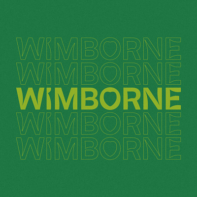 Wimborne Branding art direction branding design graphic design illustration logo motion graphics